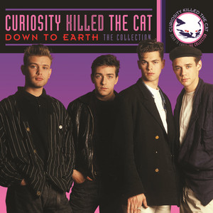 Down to Earth: The Collection cover