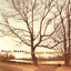 Roadside Americana Albumcover