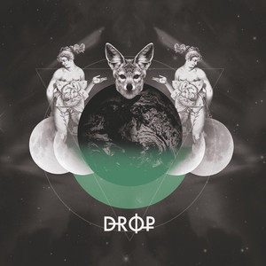 Drop cover