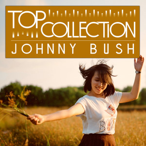 Top Collection: Johnny Bush album