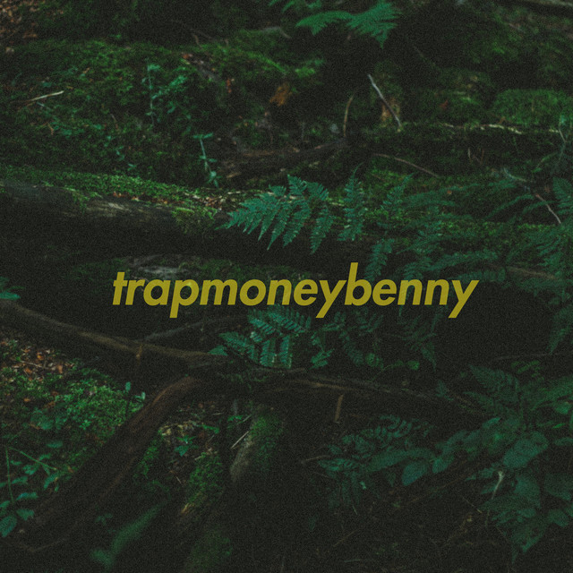 TrapMoneyBenny Photo