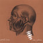 Perfectly Human Albumcover