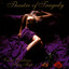 Velvet Darkness They Fear cover