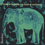 Some Moths Drink The Tears Of Elephants Albumcover