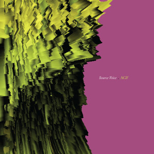 Source Voice cover