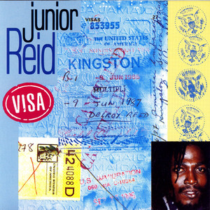 Visa cover