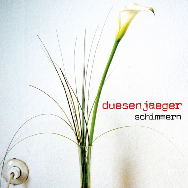 Schimmern cover