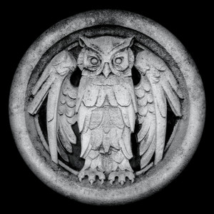 Abnocto album