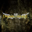 Drown In Grace Albumcover