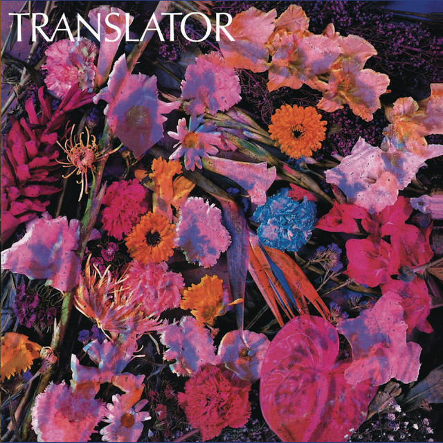 Translator cover