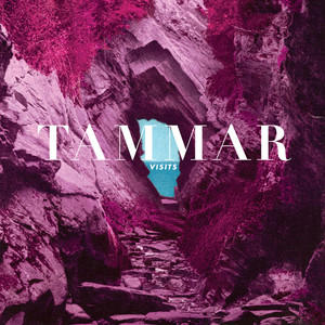 Visits Albumcover