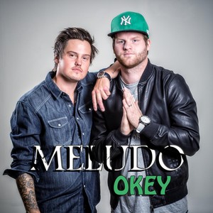 Meludo