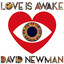 Love is Awake cover