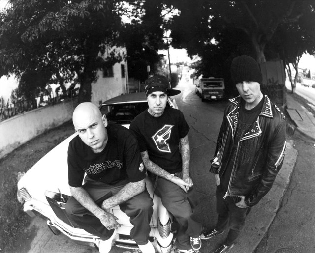 Tim Armstrong Photo