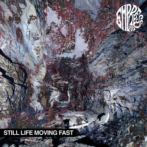 Still Life Moving Fast cover