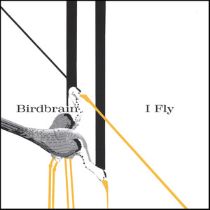 I Fly cover