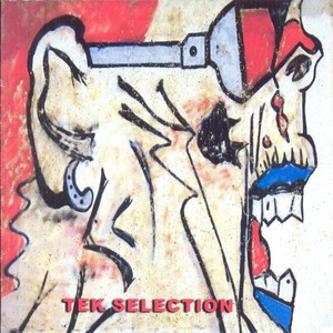 Tek Selection Albumcover