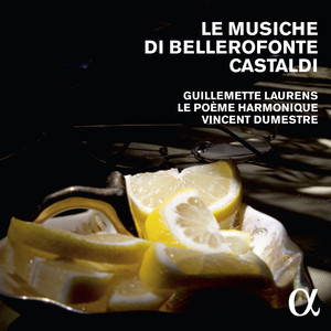 Le Musiche di Bellerofonte Castaldi cover