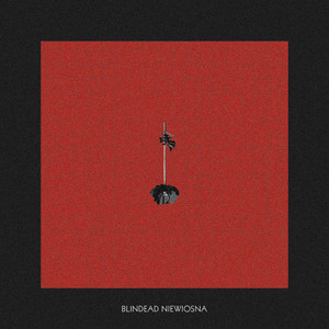 Niewiosna cover