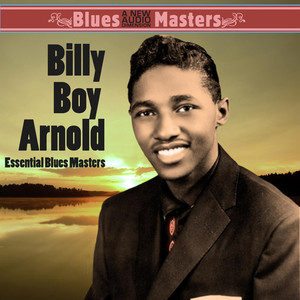 Essential Blues Masters album