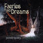 Faeries & Dreams Albumcover