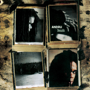 Andru Donalds cover