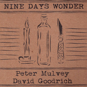 Nine Days Wonder cover