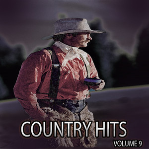 Country Hits, Vol. 9 album
