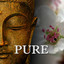 Pure Albumcover