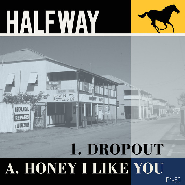 Dropout / Honey I Like You cover