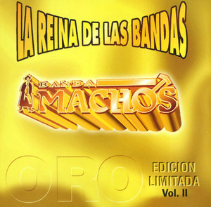 La reina de las bandas Vol. II album