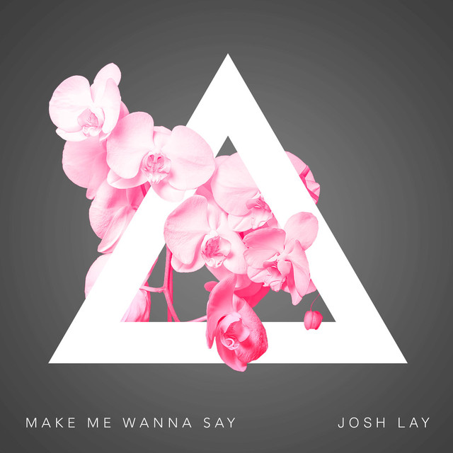 Josh Lay Photo