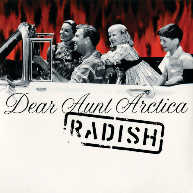 Dear Aunt Arctica cover