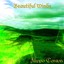 Beautiful Winds Albumcover