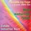 Bach: Toccata og Fuge in D Minor, BWV 565 (Med Naturlige Lyder Version) Albumcover
