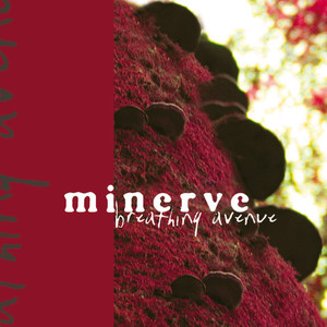 Antimatter cover
