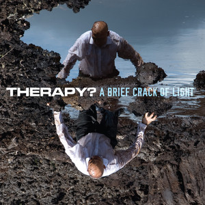 A Brief Crack of Light cover