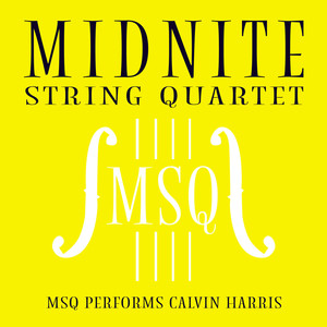 MSQ Performs Calvin Harris cover