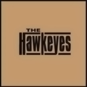 The Hawkeyes Albumcover
