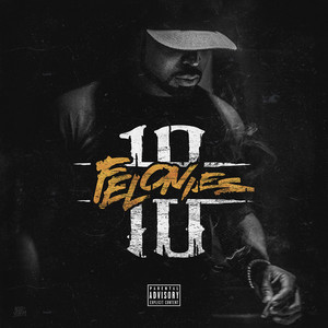 10 Felonies cover