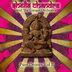 Pure Drones, Vol. II album