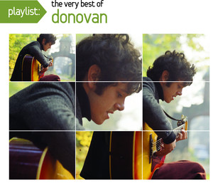 Playlist: The Very Best of Donovan album
