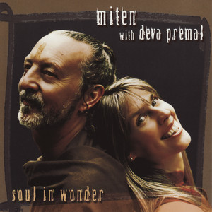 Soul in Wonder cover
