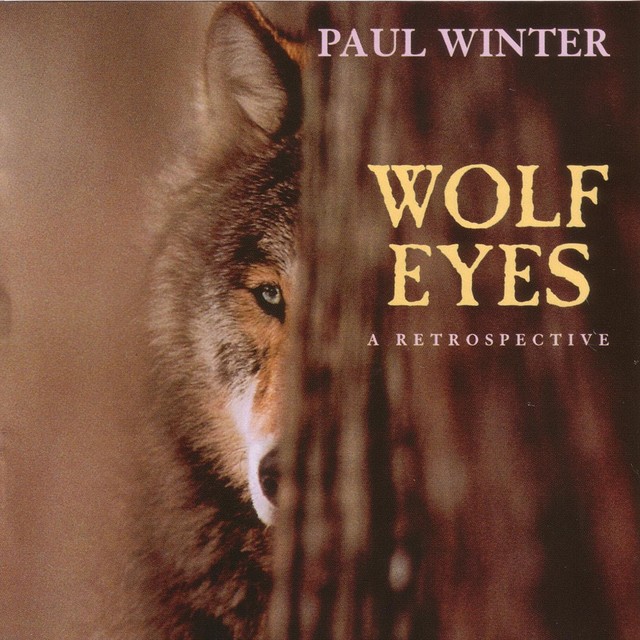 Wolf Eyes - A Retrospective cover