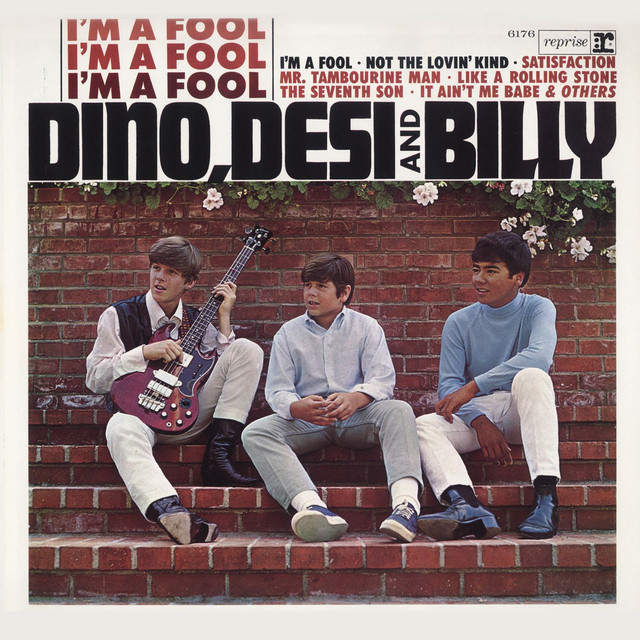 I'm A Fool cover