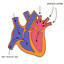Bye, I Love You, Bye. Albumcover
