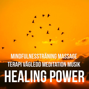 Healing Power - Mindfulnessträning Massage Terapi Vägledd Meditation Musik med Instrumental New Age Lugn Ljud album