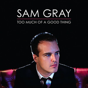 Too Much Of A Good Thing cover