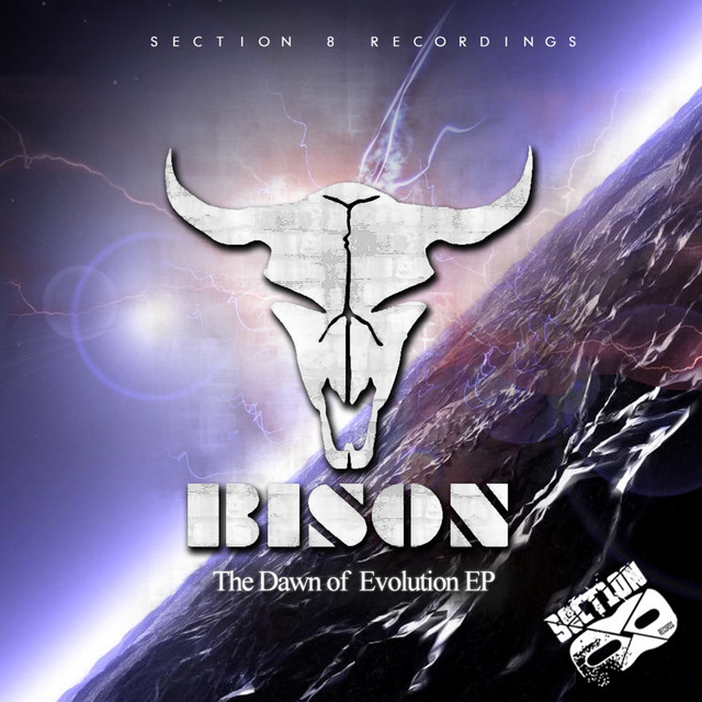 Bison photo