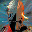 Colliding Albumcover